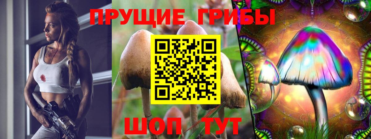 Карасук  Галлюциногенные грибы ЛСД  Псилоцибиновые грибы Cubensis  Вход с VPN 